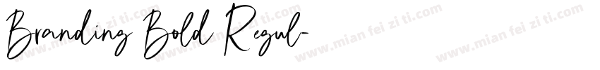 Branding Bold Regul字体转换